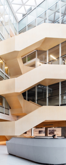 Muestra de diseño interior JUNCO 2